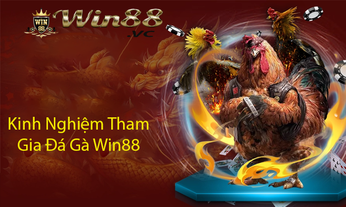 Kinh Nghiệm Tham Gia Đá Gà Win88